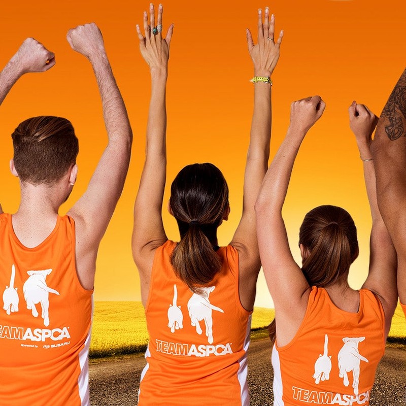 ASPCA merch